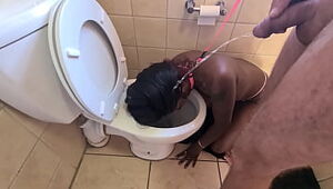 Desi whore gets walked like a dog to the wc to get her face urinated on and deep-throats fuckpole